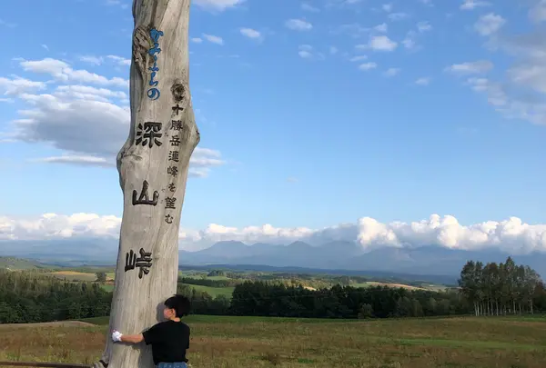深山峠アートパーク観覧車