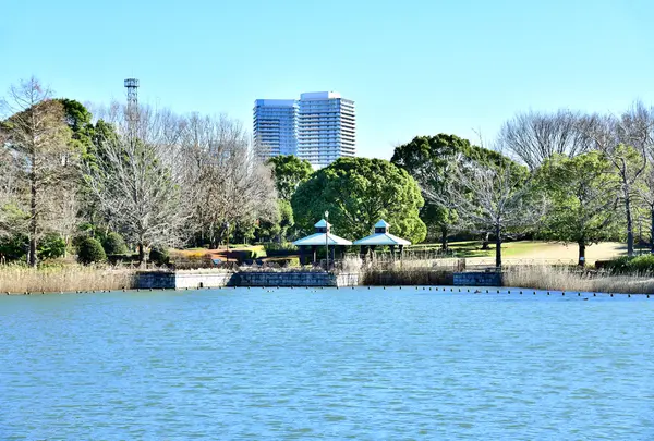 千葉県立柏の葉公園の写真・動画_image_812884