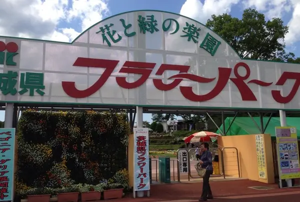 茨城県フラワーパークの写真・動画_image_81449