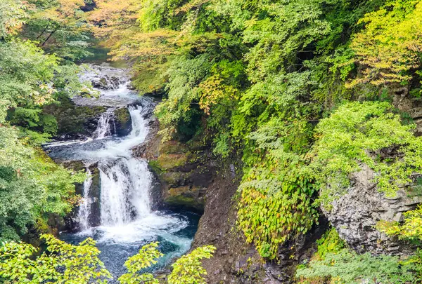 鳳鳴四十八滝の写真・動画_image_814518