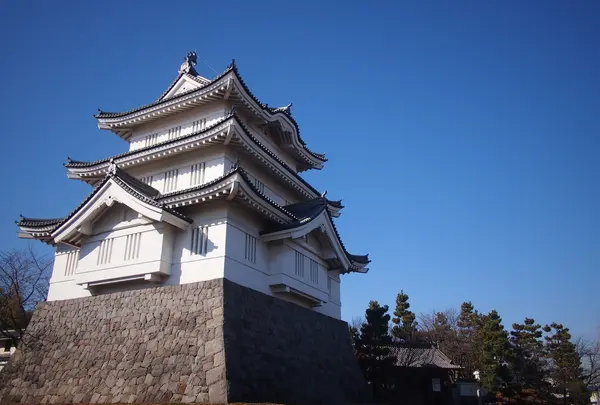 忍城 本丸跡の写真・動画_image_81455