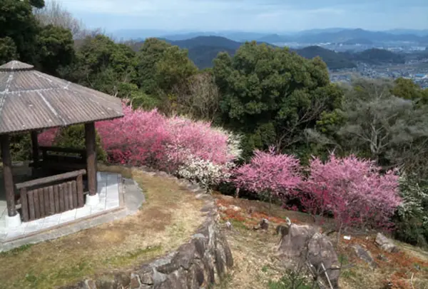 世界の梅公園