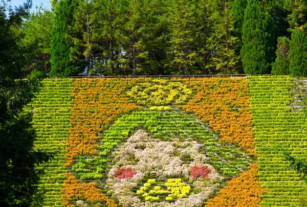 宇治市植物公園の写真・動画_image_816582
