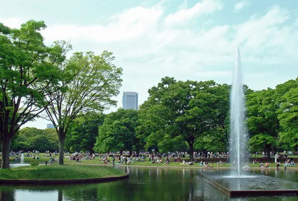 代々木公園