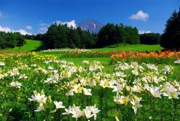 ふじてんスノーリゾート