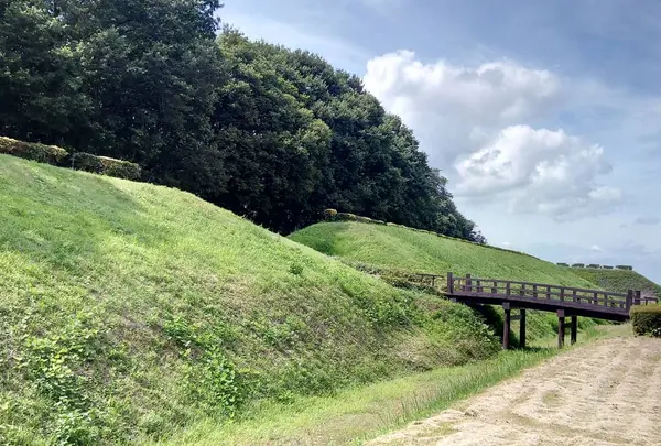 飛山城跡