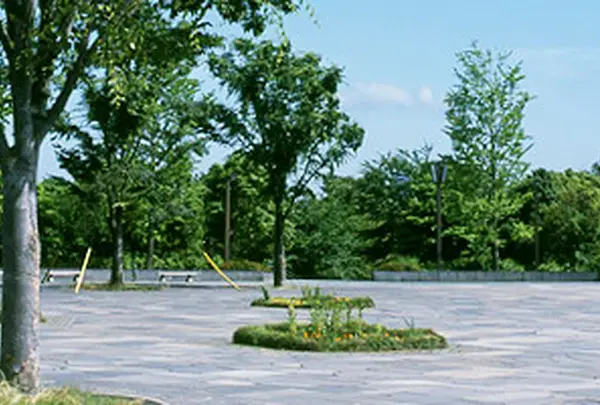 木場公園