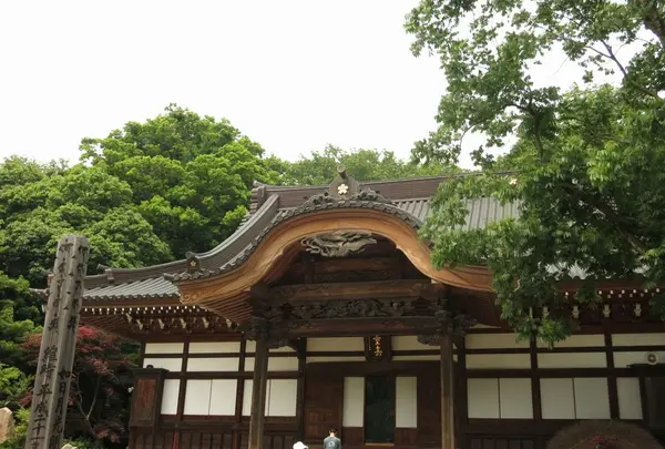 深大寺の写真・動画_image_82010