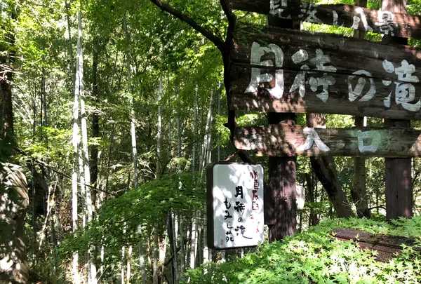 月待の滝の写真・動画_image_821307