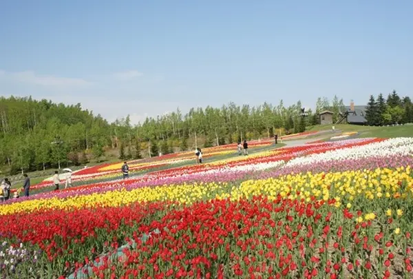 国営滝野すずらん丘陵公園