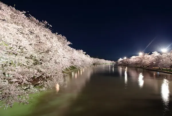 弘前公園