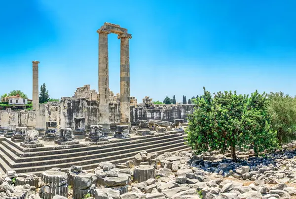 アポロ神殿（Temple of  Apollo）の写真・動画_image_823178