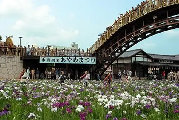 水郷潮来あやめ園