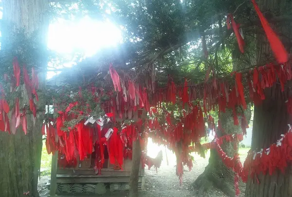 卯子酉様