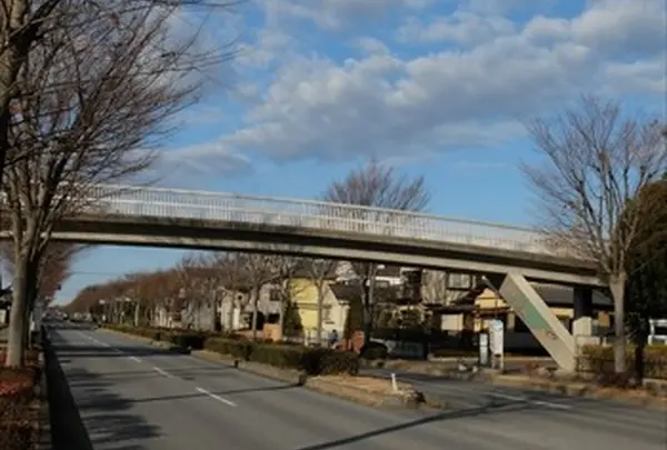 総合守谷第一病院前歩道橋