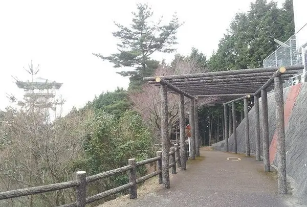 五本松展望台