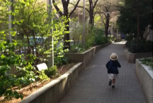 六本木　さくら坂の写真・動画_image_82666