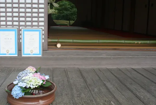 明月院（あじさい寺）
