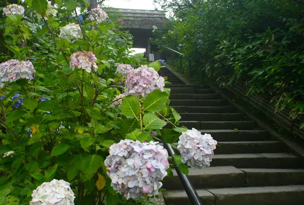 東慶寺