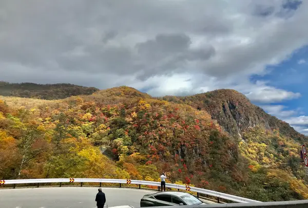 いろは坂の写真・動画_image_826878