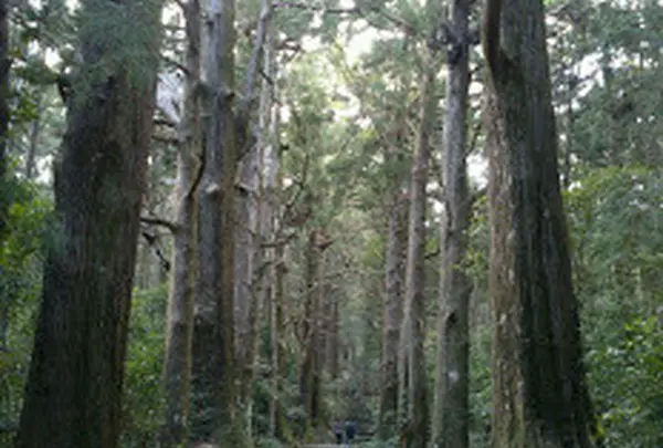 熊野古道大門坂