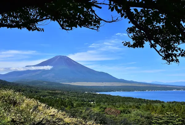 山中湖パノラマ台