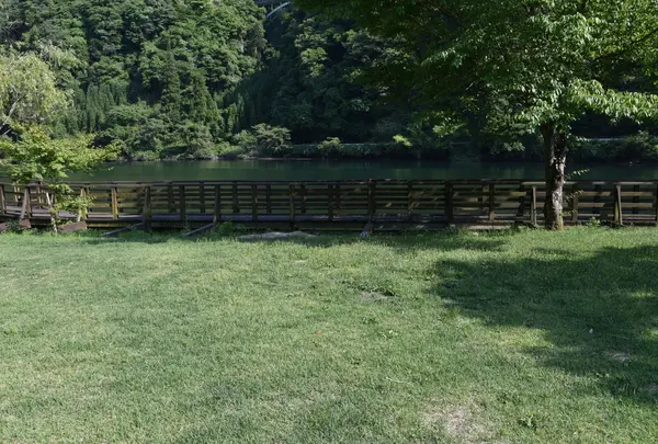 グリーンパル日向神峡 キャンプ場の写真・動画_image_828797