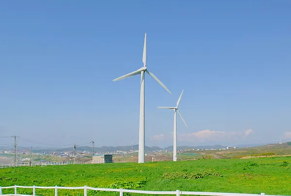 礼受牧場