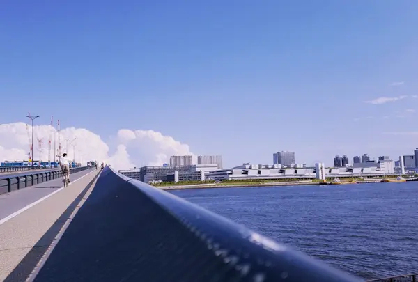 豊洲大橋