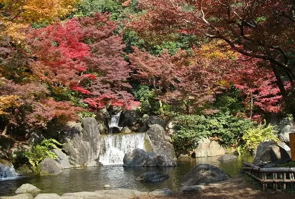 日本庭園 万博公園