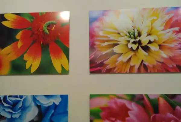 熊本市現代美術館 ミュージアムショップ