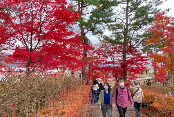旭日丘湖畔緑地公園