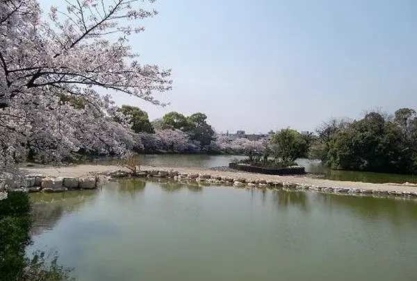 万代池公園