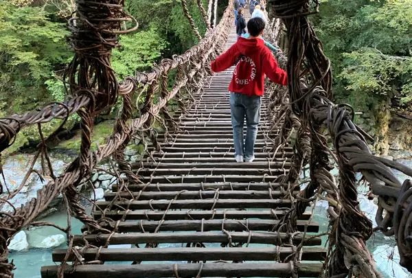 祖谷のかずら橋