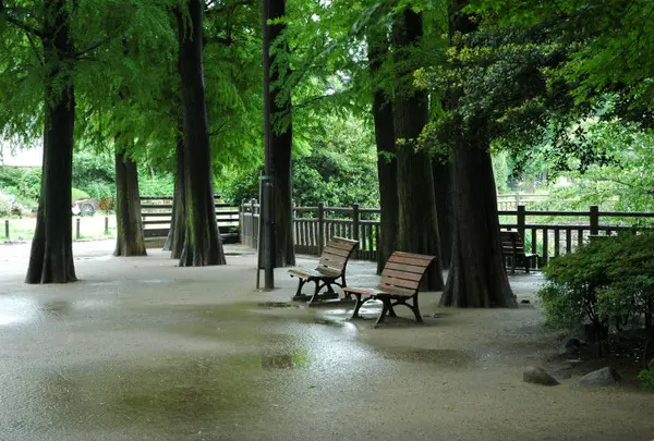碑文谷公園