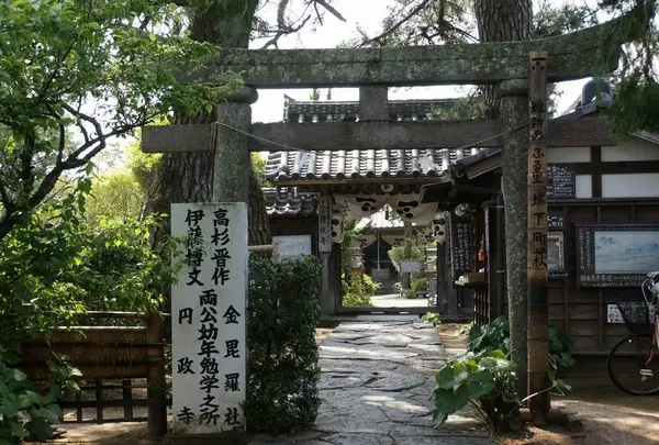 円政寺の写真・動画_image_84239