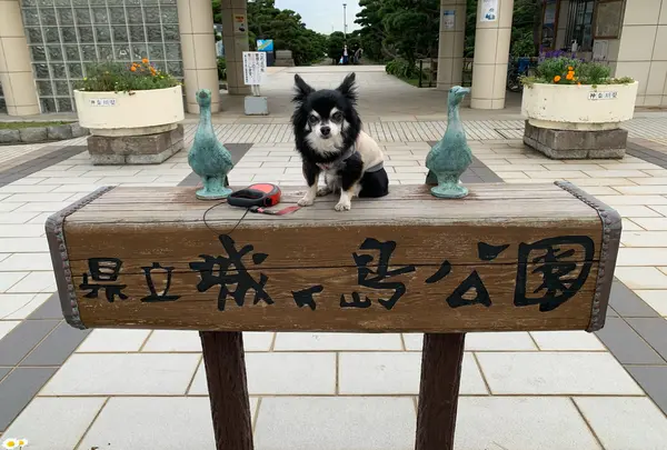 城ヶ島