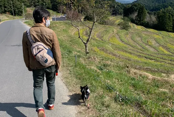 大山千枚田