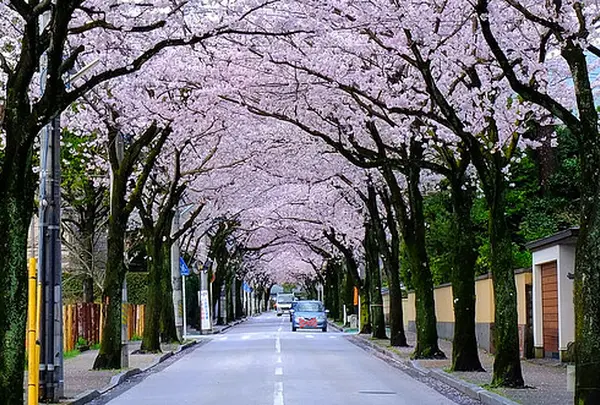 西海子小路