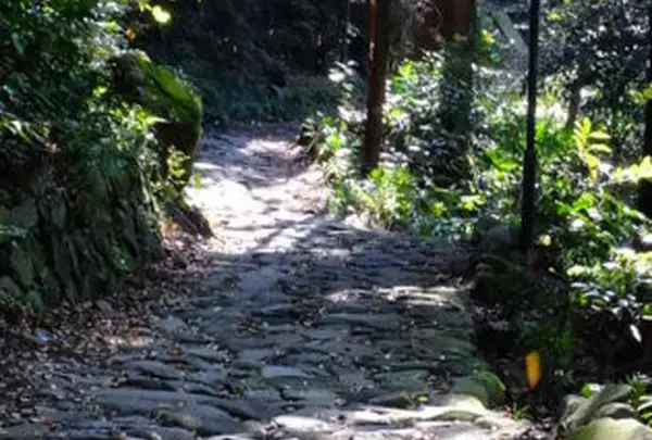 箱根旧街道　石畳