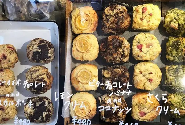 アミジョク(amijok)