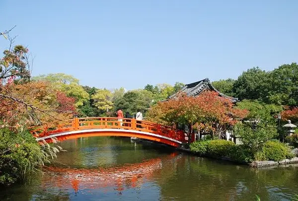 神泉宛