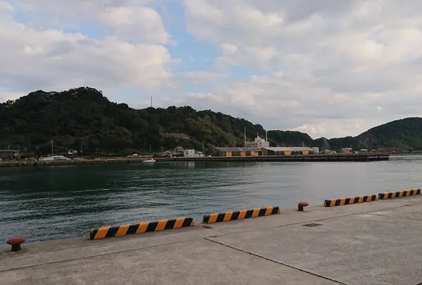 油津港