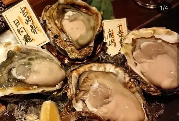 OYSTER BAR 酒肆石花