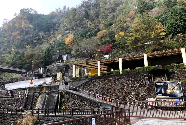 地底王国美川ムーバレーの写真・動画_image_846722