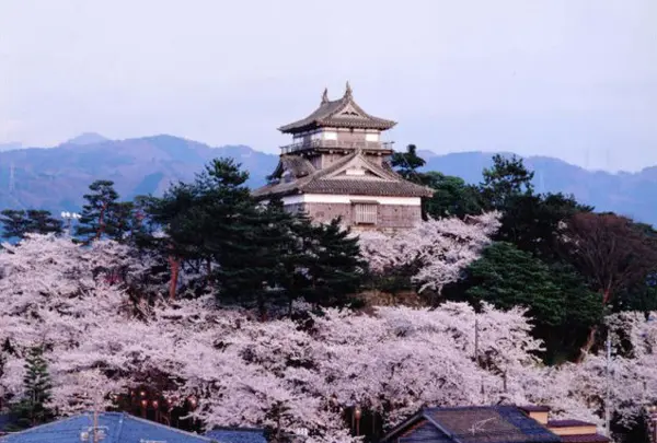 丸岡城