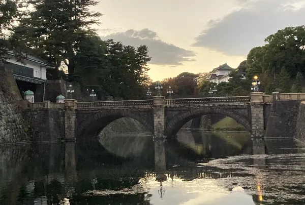皇居外苑の写真・動画_image_847693