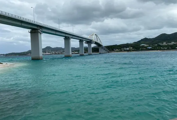 アンチ浜の写真・動画_image_848439