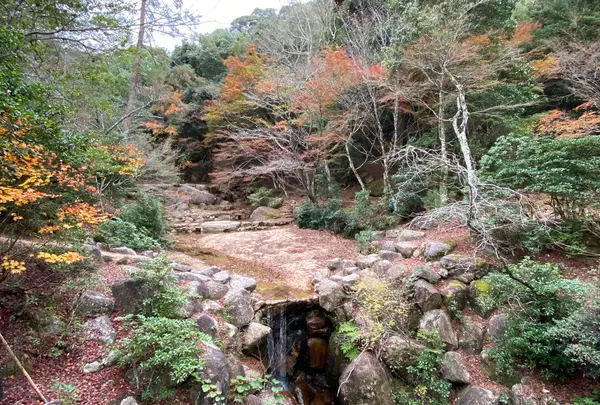紅葉谷公園