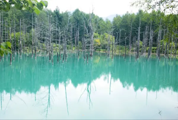 青い池